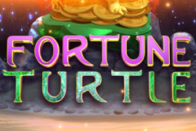 Fortune Turtle 